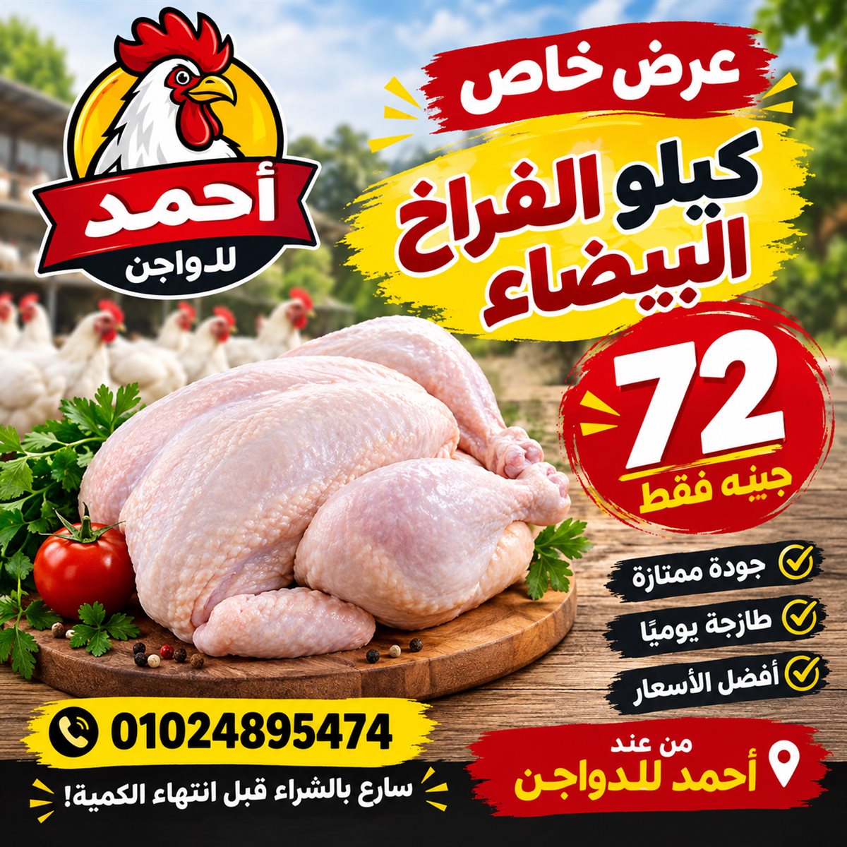 فراخ بيضاء